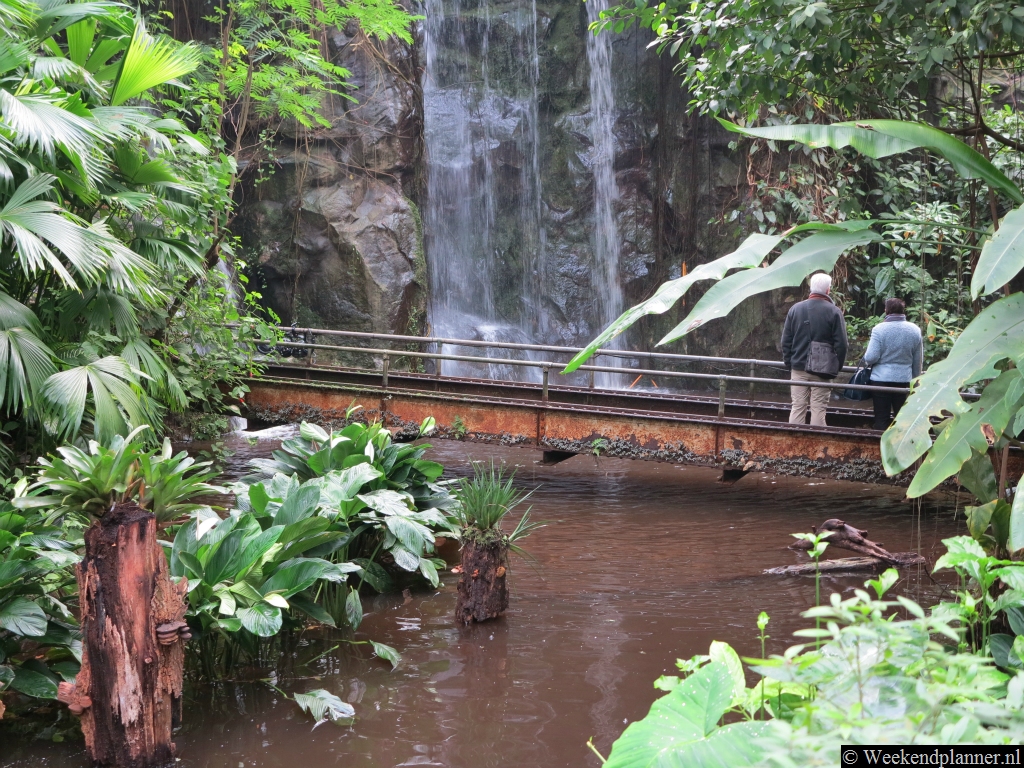 In de Bush is een mooie waterval.